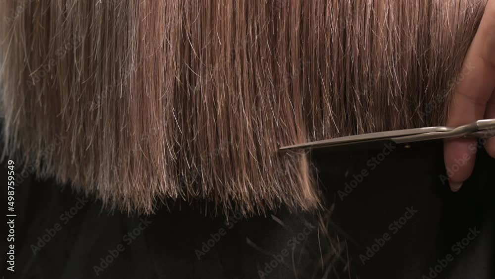 Stylist cuts hair with scissors in salon. barber haircuts for women. master makes fashionable haircut. Close up of hairdresser cutting hair