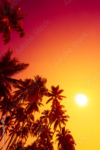 Tropical coconut palm trees on ocean beach at sunset with shining sun and clear sky