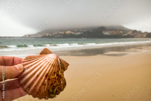 Scallop Shell on the Langosteira Beach in Fisterra photo