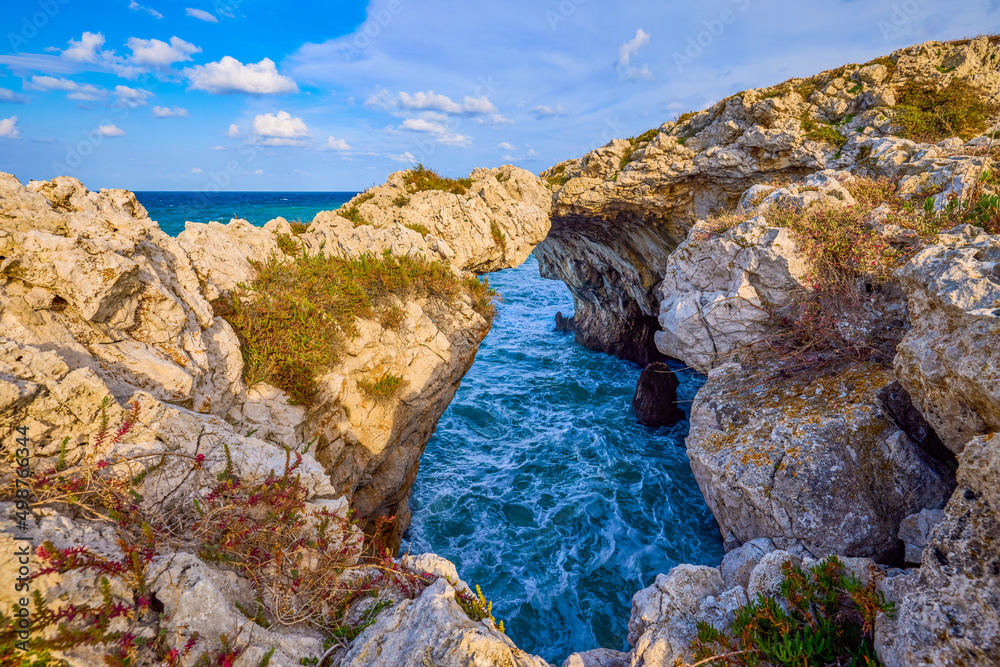 Beautiful landscape with a rocky sea shore on a sunny day