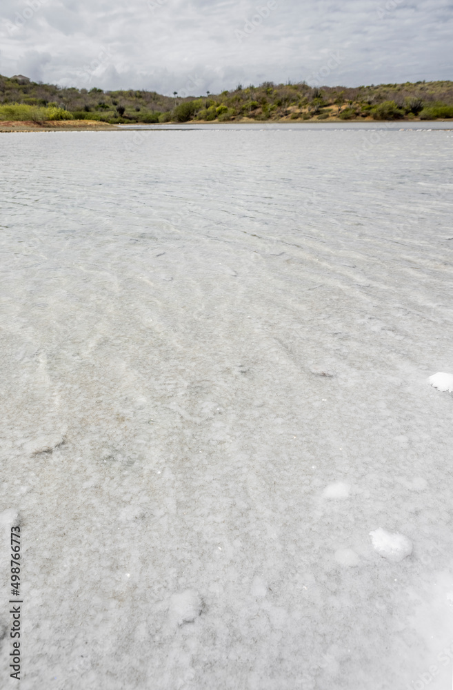 Obraz premium Jan Thiel salt flats on the Caribbean island Curacao