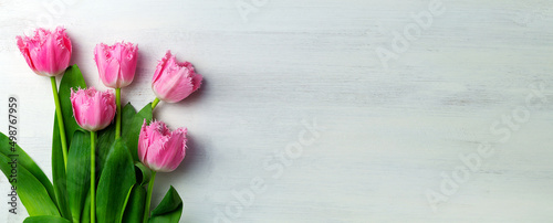 Fototapeta Naklejka Na Ścianę i Meble -  tulips banner. bouquet of pink tulips on the white background with copy space. mother's day. Flowers composition. Floral spring background. top view