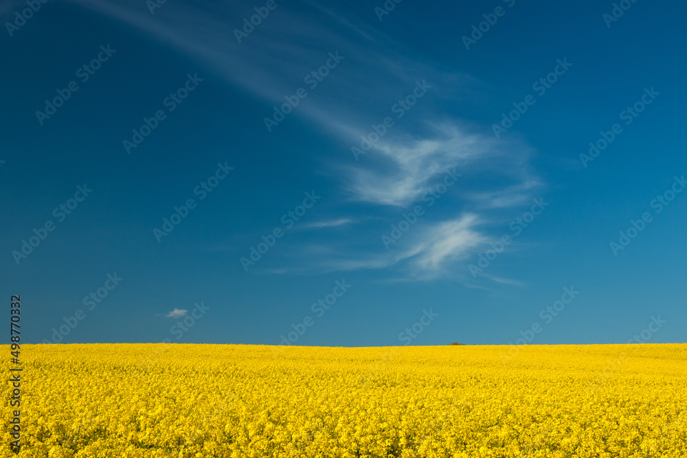 Obraz premium Blue sky