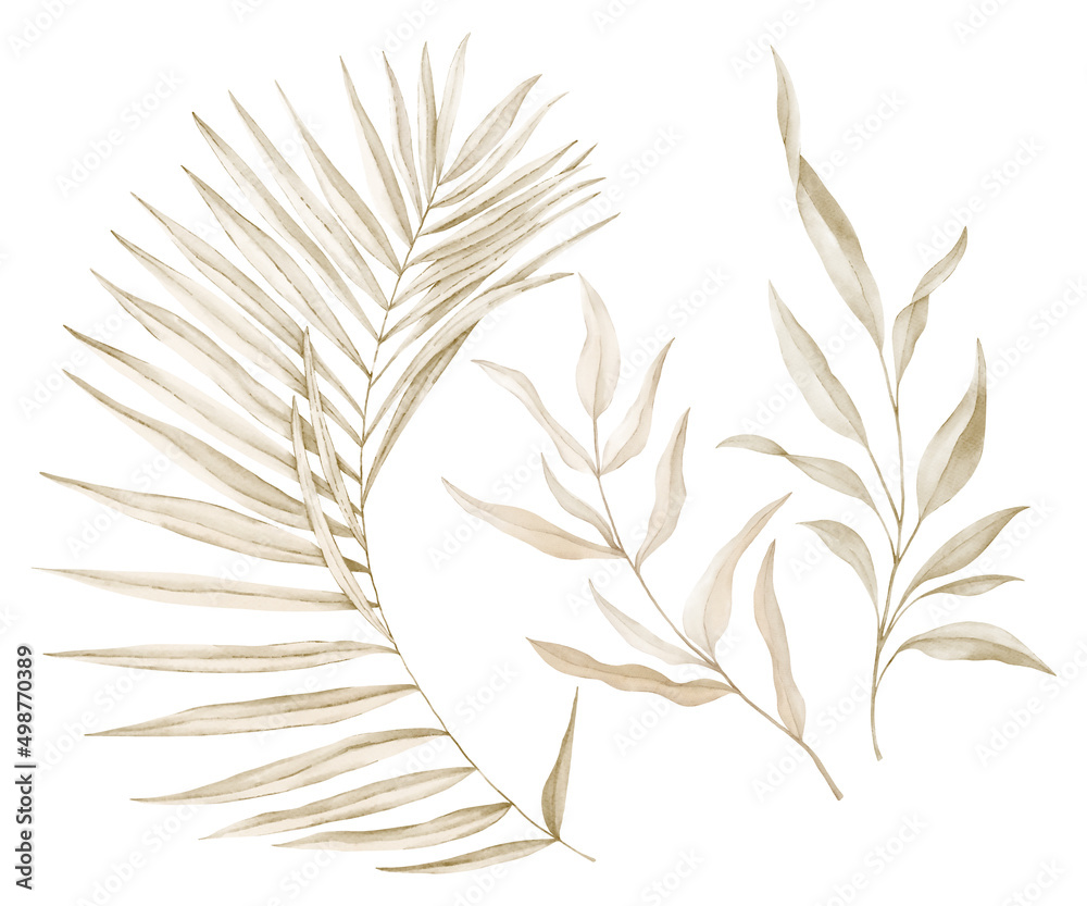 yellowed leaves on white background yellowed leaves on white background
