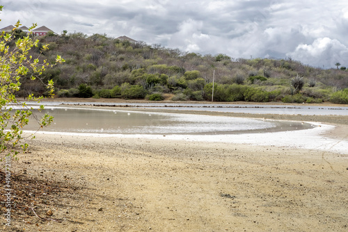 Walk along the salty shores of the Jan Thiel lagoon on the Caribbean island Curacao photo