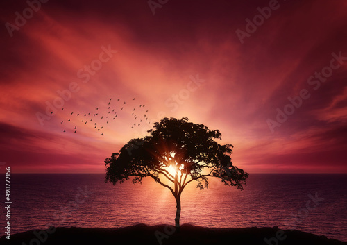 Baum am Meer in der D  mmerung mit Lichtstrahlen im violetten Himmel mit Wolken