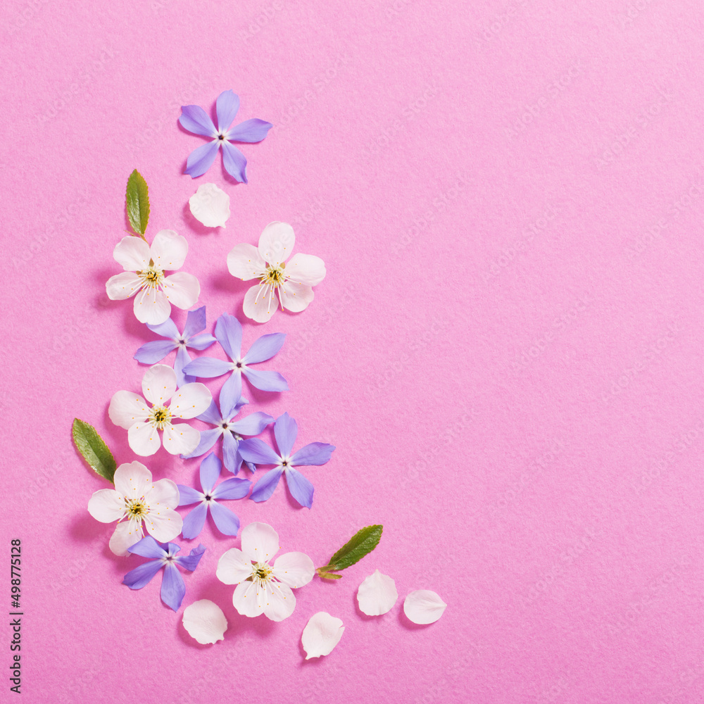 spring  flowers on pink background