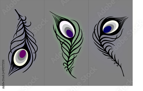 three feathers of the firebird design for interior, illustration, graphic drawing