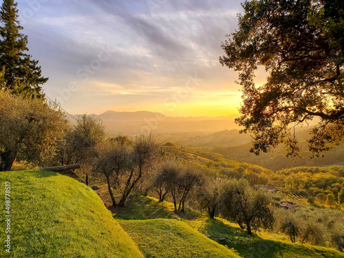 Valgiano  Province of Lucca  Italy - Oct 24  2021  Sunset over Tuscan olive grove