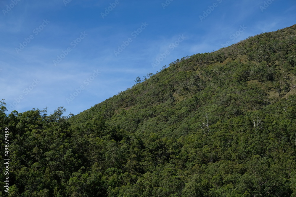 Mount Ramelau or Tatamailau is the highest mountain in East Timor and also of Timor island.