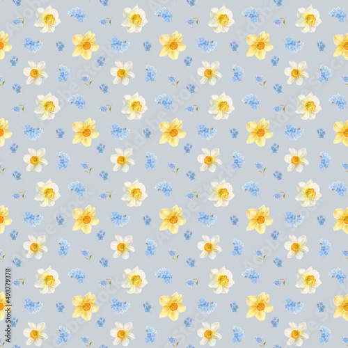 Pattern with daffodils and forget-me-nots, watercolor illustration on a gray background