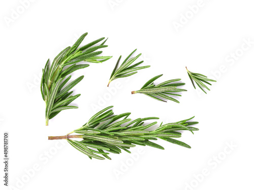 Rosemary leaves isolated on white background. Top view © PotaeRin