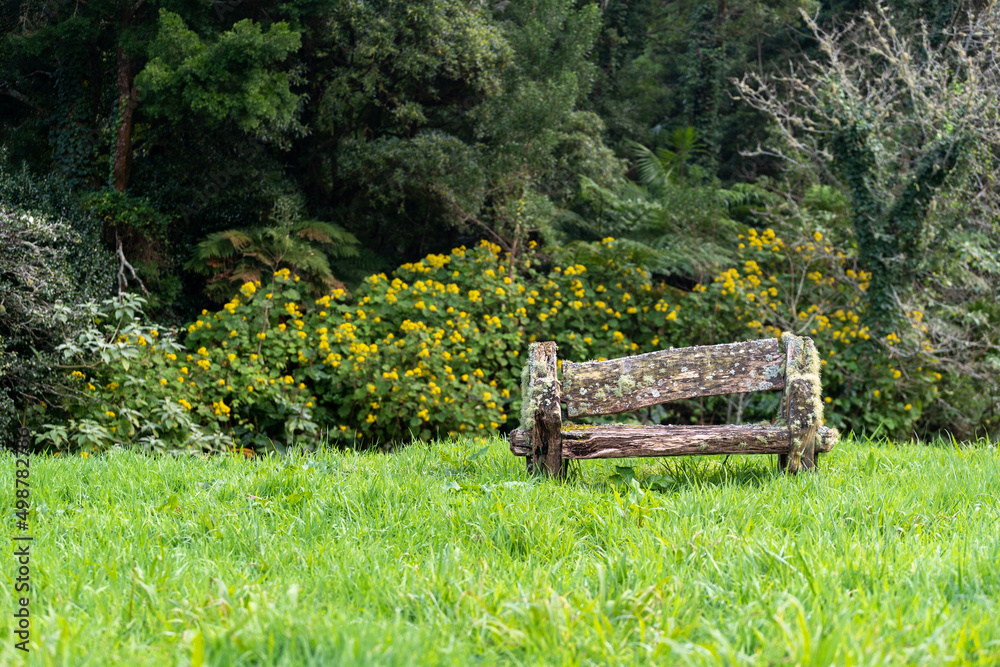 Old wooden bench stand against countryside landscape
