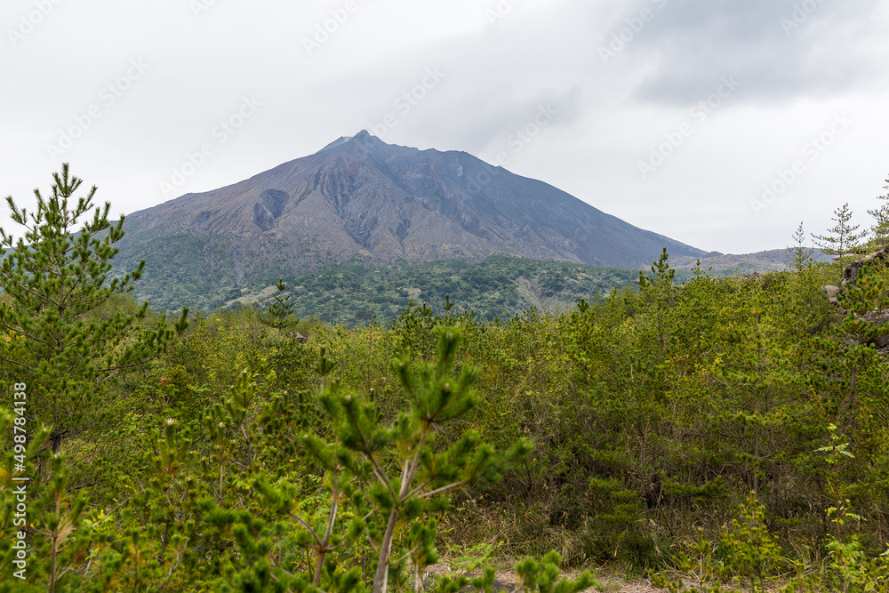 Fototapeta premium Beautiful Sakurajima in japanese city