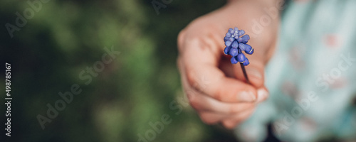 Frühling in deinen Händen © Elsa