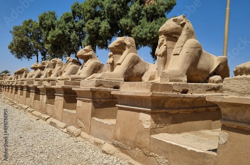 Row of ram-headed sphinxes at Karnak Temple in Luxor, Egypt.