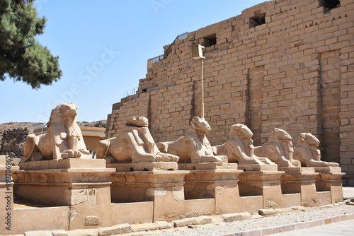 Row of ram-headed sphinxes at Karnak Temple in Luxor, Egypt.