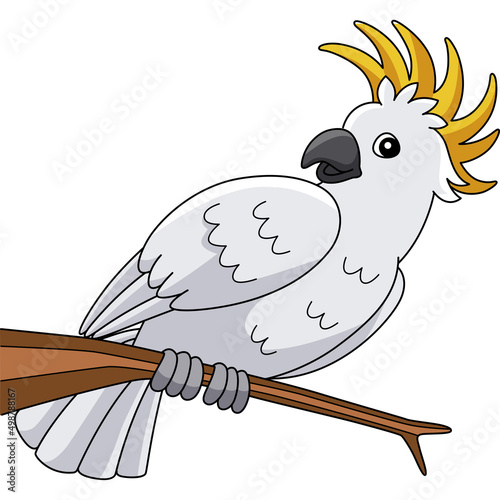 Cockatoo Animal Cartoon Colored Clipart 