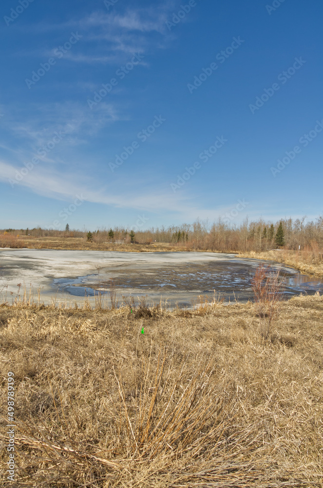 Pylypow Wetlands on an Early Spring Day Pylypow Wetlands on an Early Spring Day