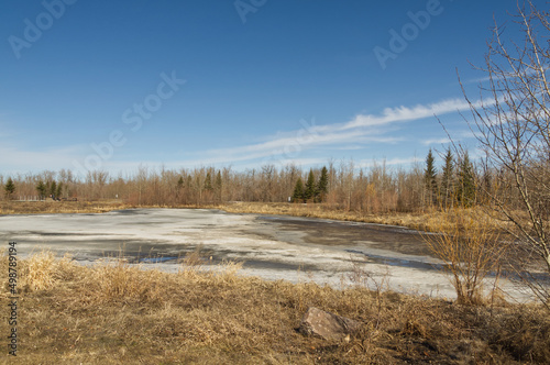 Pylypow Wetlands on an Early Spring Day