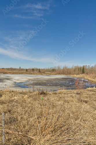 Fototapeta Naklejka Na Ścianę i Meble -  Pylypow Wetlands on an Early Spring Day