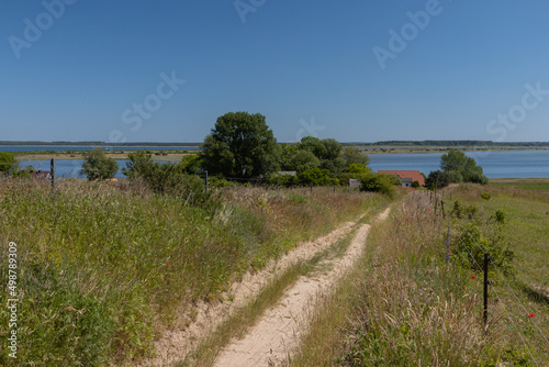 Wanderweg auf Hiddensee zum beschaukichen Ort Grieben.