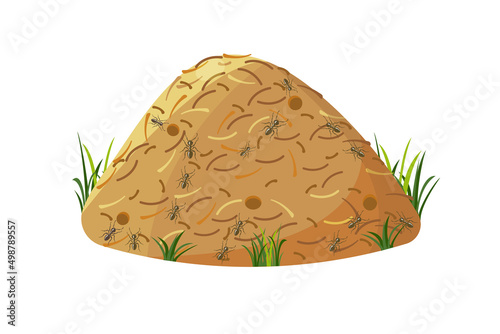 Anthill outside above the ground in grass, isolated on white.
