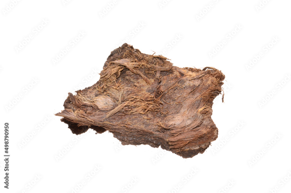 tree bark isolated on white background