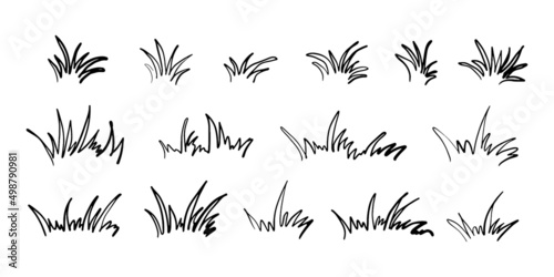 Hand drawn grass silhouette collection. Lawn bush of grass in sketch doodle style. Vector illustration