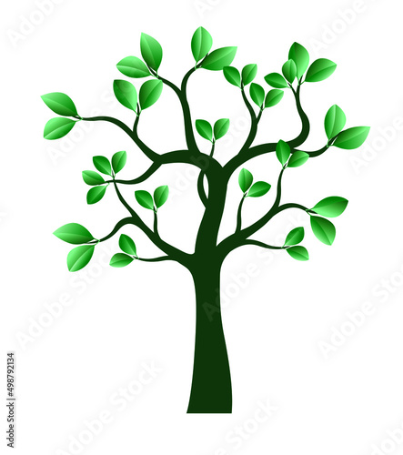 Green Tree. Vector outline Illustration.