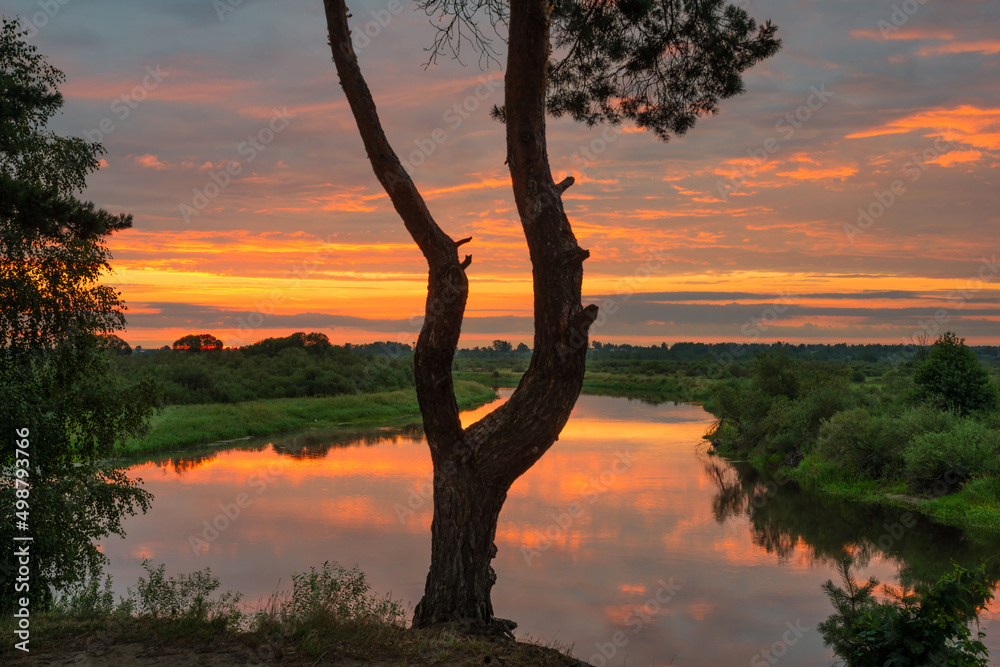 The nature of Belarus - a calm summer landscape on the banks of the Berezina River The nature of Belarus - a calm summer landscape on the banks of the Berezina River