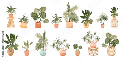 Tropical house plants vector illustration set