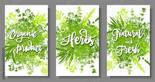 A colorful set of background images with grass and greenery. Bright, colorful hand drawing. 
Vector for menu, restaurant, food and kitchen design.