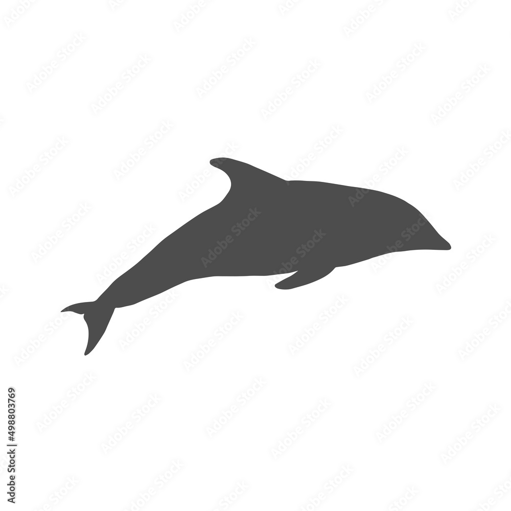 Fototapeta premium the silhouette of a dolphin