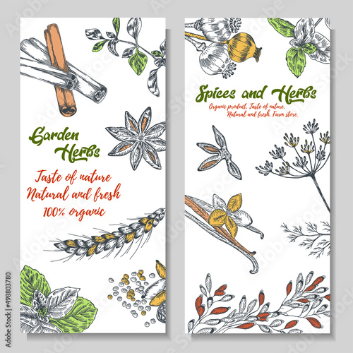 A colorful set of background images with herbs and spices. Bright, colorful hand drawing. 
Vector for menu, restaurant, food and kitchen design.