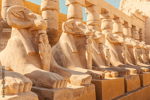 Famous alley of Karnak sphinxes with a Goat heads in Luxor or ancient Thebes. Travel destinations in Egypt photo