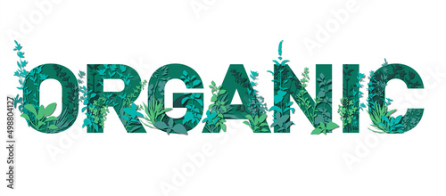 The word organic with grass growing from it. Bright, colorful hand drawing. 
Vector for menu, restaurant, food and kitchen design.
