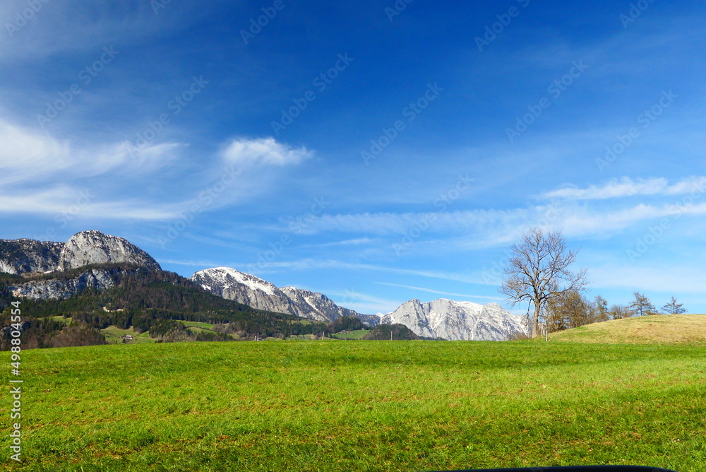 Almen mit Blick auf die Berggruppe Hochangern