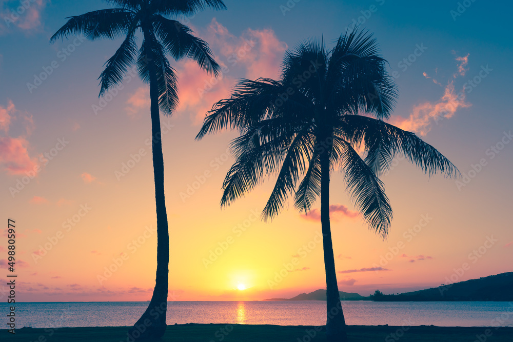 silhouettes of palm trees and ab beautiful ocean sunset 