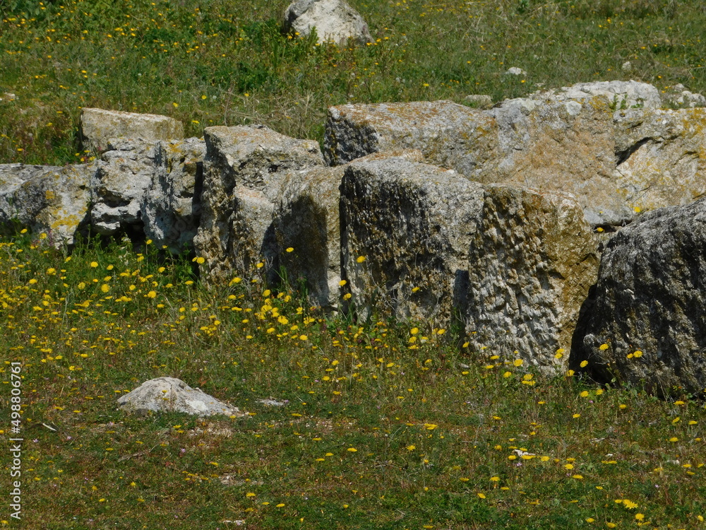 Ancient stones and spring flowers, at Pella, Macedonia, Greece Ancient stones and spring flowers, at Pella, Macedonia, Greece