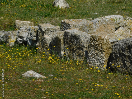 Ancient stones and spring flowers, at Pella, Macedonia, Greece photo