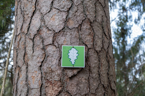 Nature park sign. Attached to a brown pine tree. close-up
