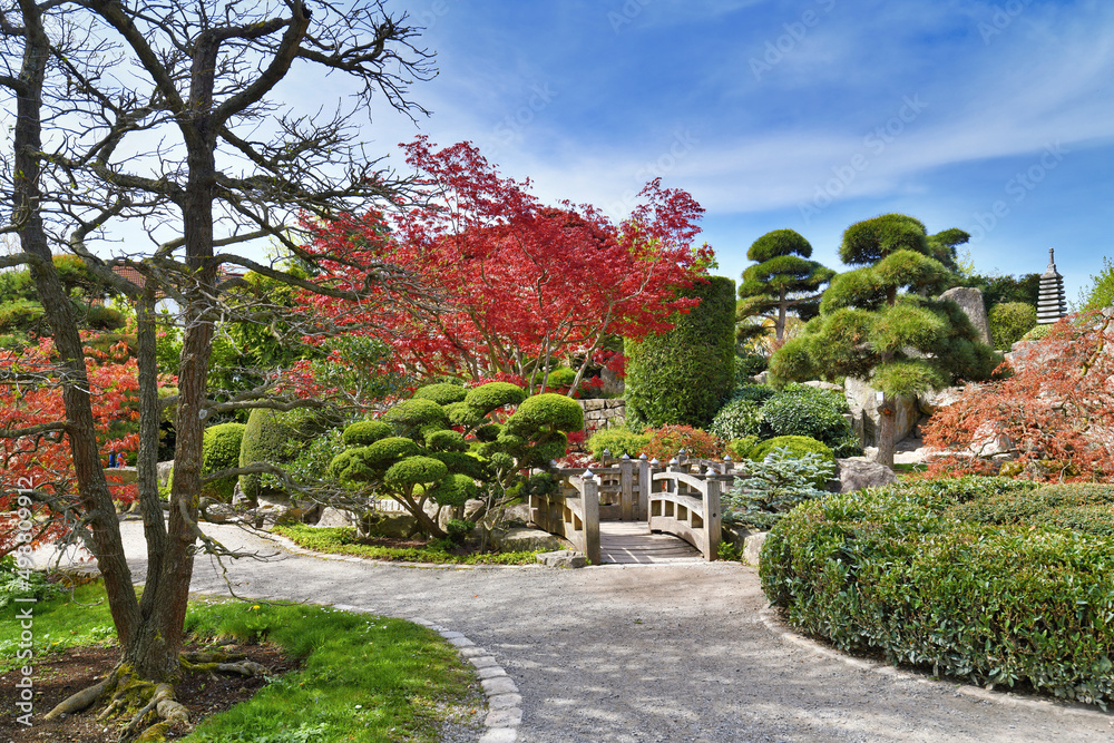 Freiburg, Germany : Japanese garden in public park called 'Seepark'