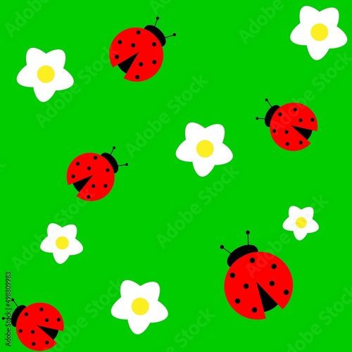 patter of ladybug and white flowers. vector illustration
