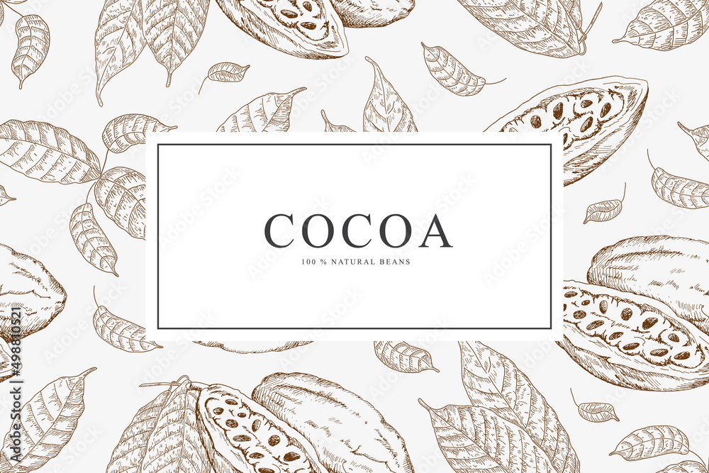 Card with cocoa beans. Vector illustration background