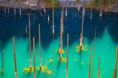 Lake Kaindy sunken forest in Kazakhstan. Beautiful mountain nature landscape. Blue lake Kolsai top view. Panoramic view of the nature reserve.