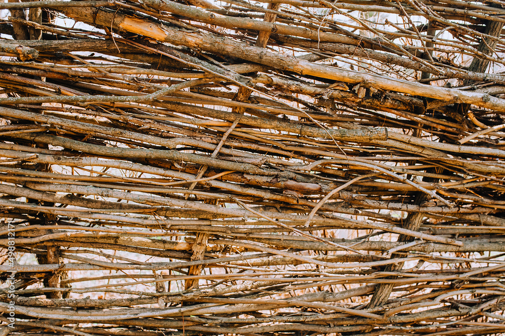 Background, texture of acacia branches in the form of a fence. Background, texture of acacia branches in the form of a fence.