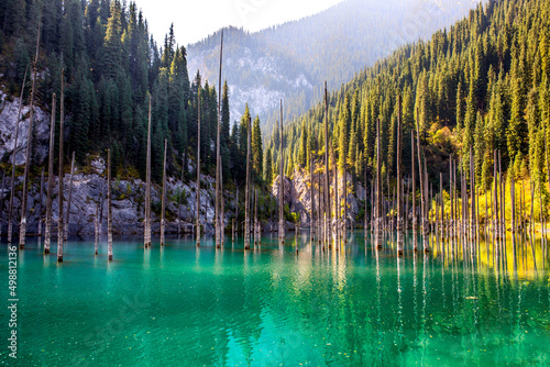 Fototapeta Naklejka Na Ścianę i Meble -  Lake Kaindy sunken forest in Kazakhstan. Beautiful mountain nature landscape. Blue lake Kolsai top view. Panoramic view of the nature reserve.