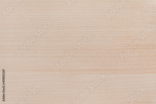The texture of the birch board. Background and texture of light wood. Board of natural wood close-up.