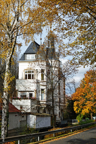 Bad Harzburg Haus an der Fußgängerzone Hochformat